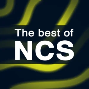 #10. The Best of NCS Dubstep Playlist Spotify