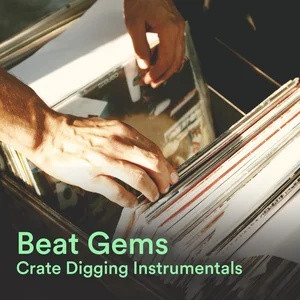 Instrumental Hip-Hop | Crate Digging Gems | Alternative Hip-Hop | Abstract Beats