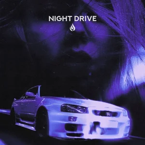 Night Drive // Future Garage, Techno, Electronica Spotify playlist cover art