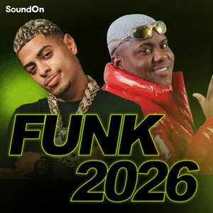 Funk  2026💥Funk de Adega l TikTok Challenge🔥 Melhores Lançamentos e Hits l Atualizado l  Que Loucura Funk playlist cover