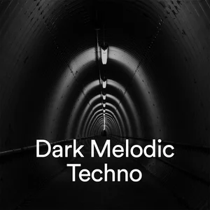 Dark Melodic Techno  playlist cover