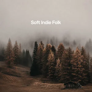 Soft Indie Folk Spotify playlist cover art