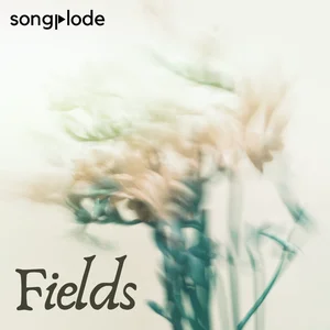 Fields: New Folk Spotify playlist cover art