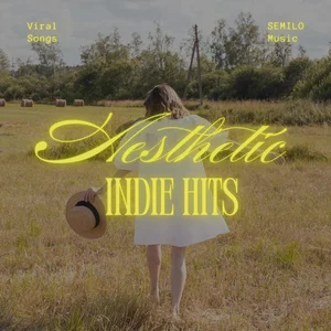 Aesthetic Indie Hits Spotify playlist cover art
