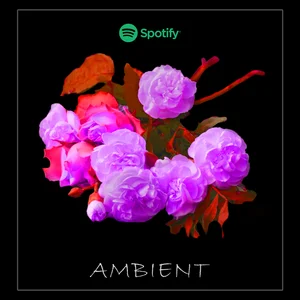 Ambient Spotify playlist cover art