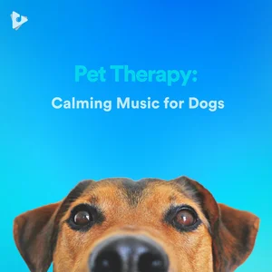 Pet Therapy: Calming Music for Dogs