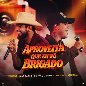 OI MINHA SAUDADE ZÉ VAQUEIRO E NATTAN playlist cover