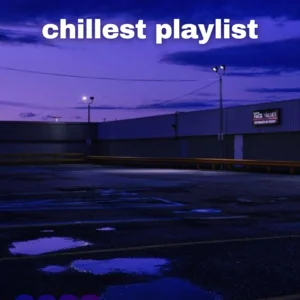 chillest playlist for the chillest people Spotify playlist cover art