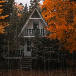 Rainy Fall Folk Spotify playlist cover art