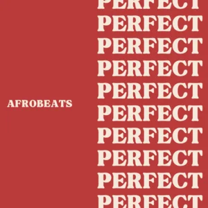 Perfectly Made Afrobeats Spotify playlist cover art