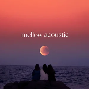 Mellow acoustic  playlist cover