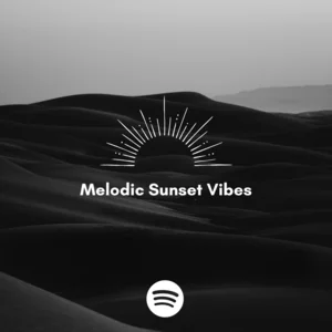Melodic Sunset Vibes 🖤 Spotify playlist cover art