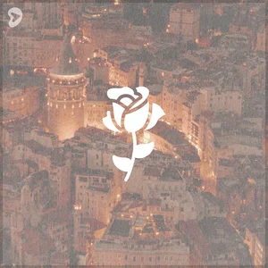 damar türkçe pop playlist cover