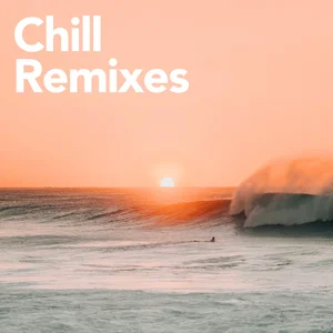 Chill remix vibes everyone knows🍸 playlist cover