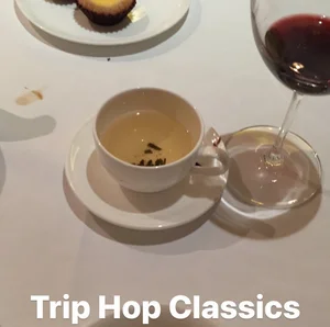Trip Hop Classics (1991-2001) - Triphop Classics 90s (100+ tracks) playlist cover