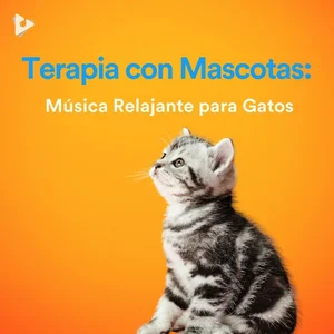 Terapia con Mascotas: Música Relajante para Gatos