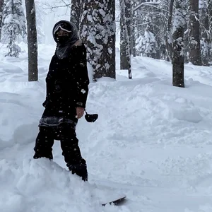 let the bodies hit the slopes Spotify playlist cover art