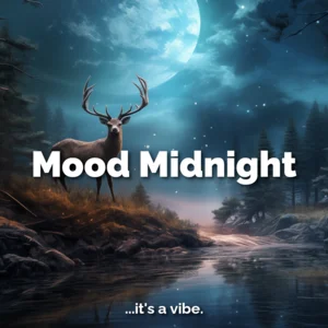 Mood: Midnight Spotify playlist cover art