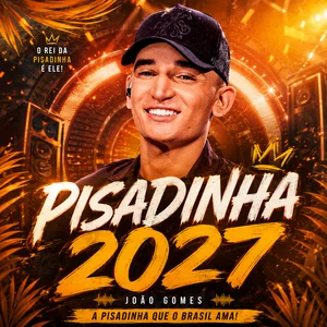 Pisadinha 2026  ⭐ Piseiro playlist cover