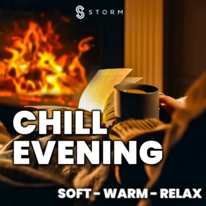 Chill Evening 2026 ✨ Soft House, Lounge & Summer Vibes playlist cover