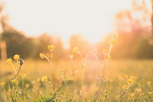 Background Piano Music 🎹 Spotify playlist cover art