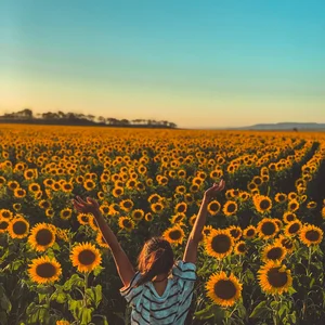 Spring Playlist 🌼 Spring Spring Playlist Submission