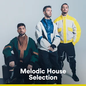 Melodic House Selection playlist cover