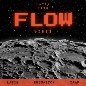 FLOW VIBES Spotify playlist cover art