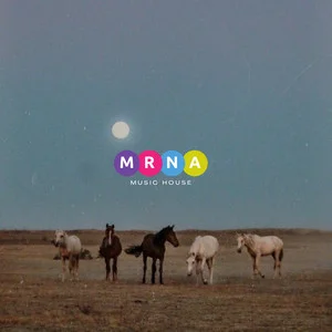 Country Mix playlist cover