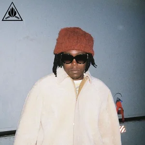 UNRELEASED DON TOLIVER playlist cover