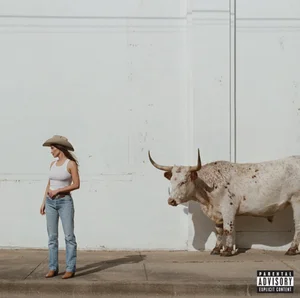 Imagem de Kacey Musgraves