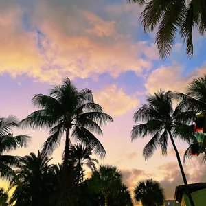 Spanish chill vibes playlist cover