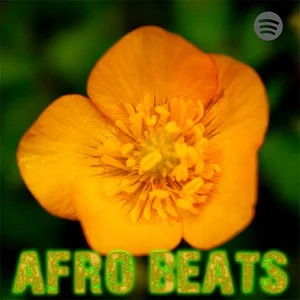 RKMG  Catalogue Playlist Spotify playlist cover art