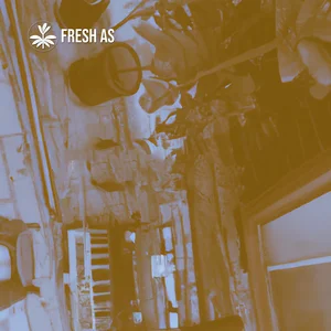 Fresh As: Trip Hop Spotify playlist cover art