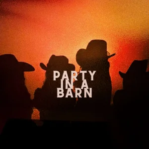 #8. party in a barn  Walking Playlist Spotify
