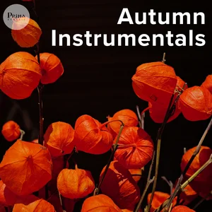 Autumn Instrumentals - Pi Autumn Playlist Submission