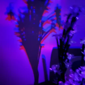 ally s favourites playlist by alekirser Spotify 