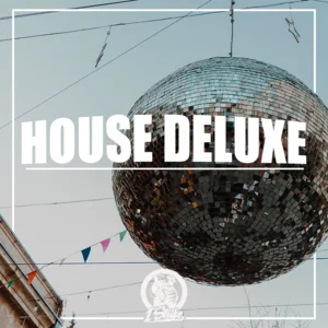 HOUSE DELUXE Spotify playlist cover art