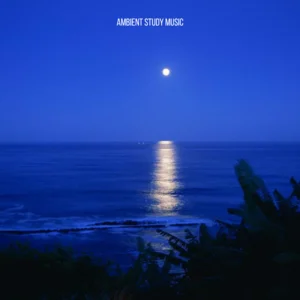 ambient study music Musique pour travailler playlist cover