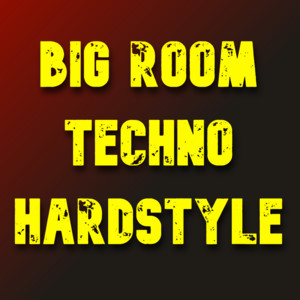 BIG ROOM | TECHNO | HARDSTYLE | RAVE cover