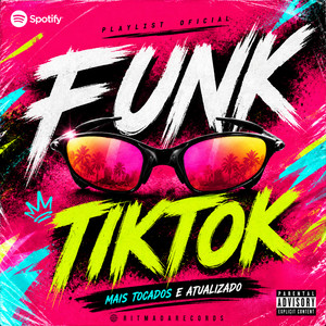 Funk TikTok —  Mais Tocados — Atualizado 🔥 2026 playlist cover