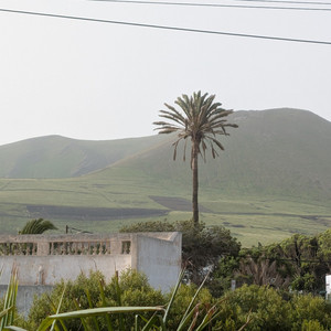 Ya Rouhi, Shokran (يا روحي، شكرا)