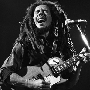 Roots & Culture — cover art