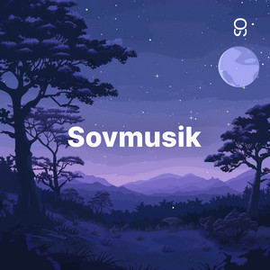 Sovmusik playlist cover