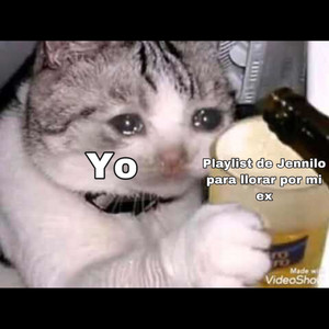 para llorar por tu ex  playlist cover