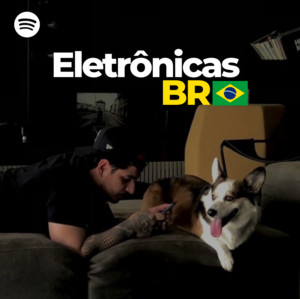 ELETRÔNICAS - AS MELHORES E MAIS TOCADAS NO BRASIL | ALOK | VINTAGE CULTURE | DUBDOGZ E MAIS 🔥🔥 playlist cover