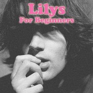 1992年アメリカ産シューゲイザー大名盤Lilys廃盤CD 1992年アメリカ産シューゲイザー大名盤Lilys廃盤CDの通販