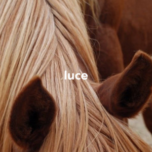 luce cover