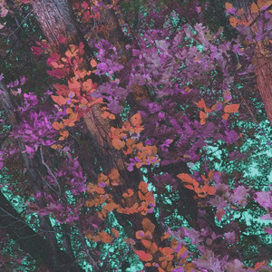 LyMix 1.1 cover