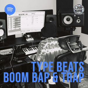 TYPE BEATS BOOM BAP & TRAP cover
